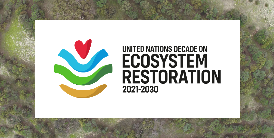 UN Decade of Ecosystem Restoration logo.