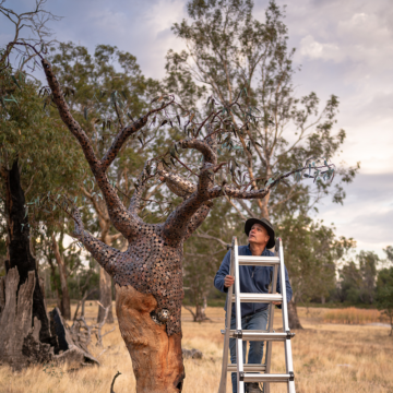 Michael Moerkerk climbs a silver ladder next to the bronze Money Tree, wearing a black, wide-brimmed hat and blue button-up shirt. He stands in the foreground of the blue skies and dry grasses of the Grampians. Image by Christopher Chan.