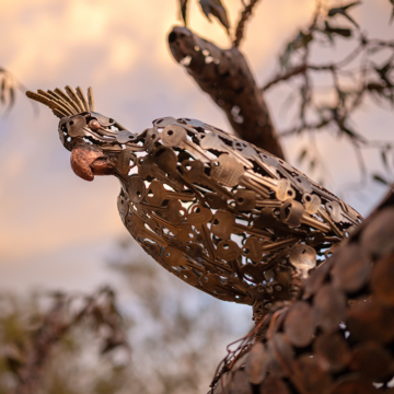 A bronze cockatoo made from recycled coins and keys sits perched on a Money Tree branch. Image by Christopher Chan.