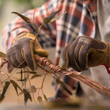 Two hands with yellow and brown gloves twisting copper Money Tree branches together. Image by Christopher Chan.