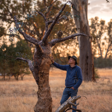 Artist Michael Moerkek in a black, wide-brimmed hat and blue button-up shirt stands with his hand against the tall, bronze Money Tree. Image by Christopher Chan.