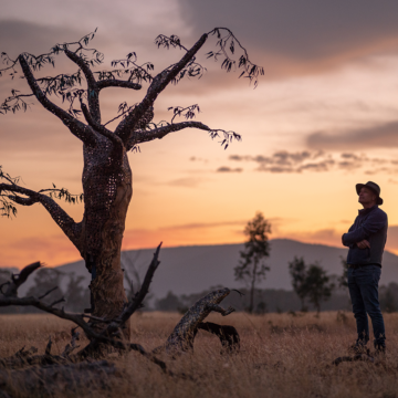 Artist Michael Moerkek in a black, wide-brimmed hat and blue button-up shirt stands with his arms crossed standing a few metres away from the tall, bronze Money Tree, admiring it in the pink and yellow sunrise peaking over the dark blue Grampians mountains in the background.. Image by Christopher Chan.