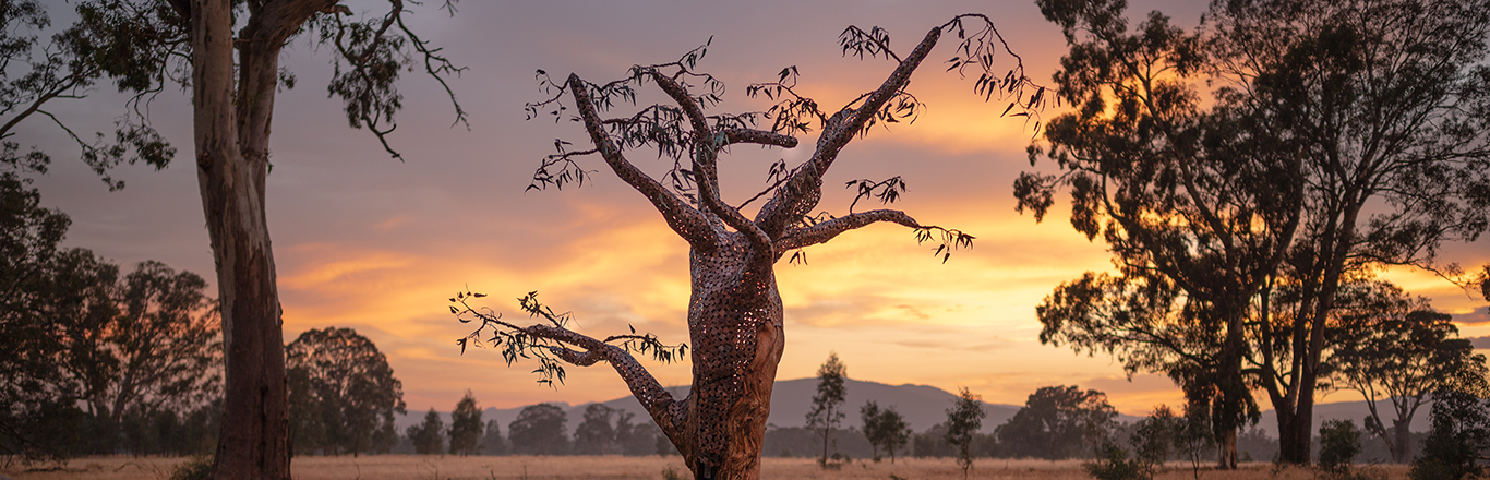 The Money Tree: Image by Christopher Chan. A 3m tall tree made of literal money (recycled coins), recycled keys and salvaged wood from the 2016 bushfires stands tall over the Grampians, with a yellow and orange sunrise in the background.