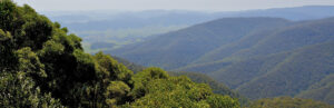 Mountain view, Barrington Tops National Park. Image credit Brian Yap CC BY-NC 2.0
