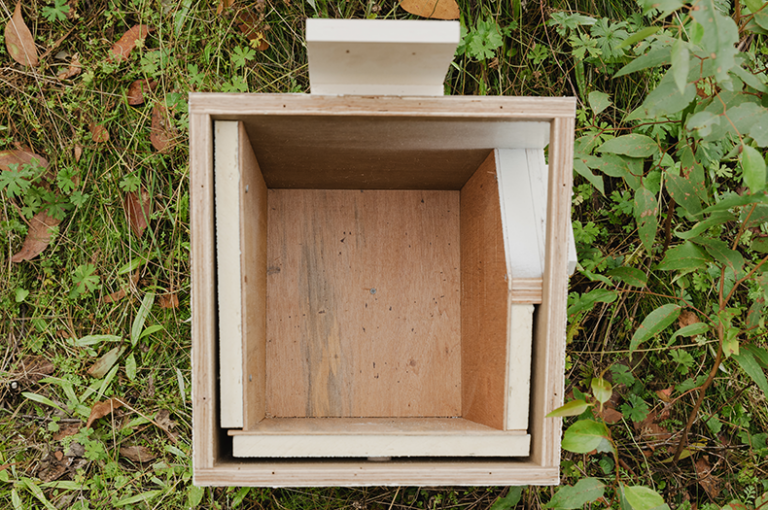 Can hitech nest boxes help recover the Greater Glider? Greening