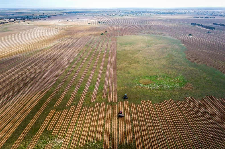 Aerial view of light brown, uniform planting lines being created at West Australian site 2022. 