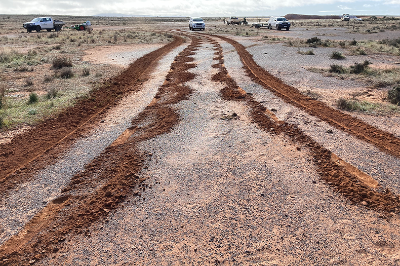 Dark brown direct seeding lines on arid , light brown land in South Australia. It is a grey, cloudy day with large white utes and dispersed light green, short, dry grass in the distance.