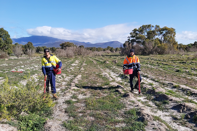 Two men stand side-by-side in a grassy field. Both are in the distance, one wearing a yellow, fluorescent working shirt and dark blue pants, the other the same but bright orange. The sky is a gorgeous baby blue with fluffy white clouds rolling over the hills on the horizon. The ground has long, grey and brown divets from direct seeding and planting work.