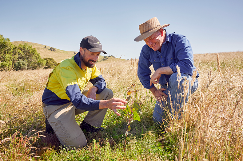 Greening Australia Land and Restoration Lead Graham Fifield (left) with landholder Chris Shannon (right) on the latter's farm property in Bookham, NSW. Credit: Toby Peet.