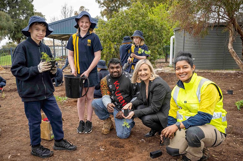 Cooling the Schools Adelaide - Greening Australia - Greening Australia