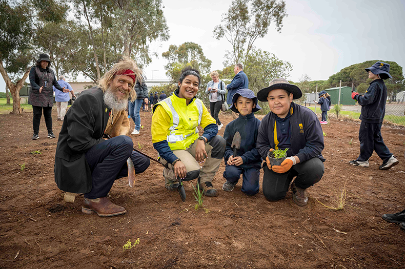 New tree planting pilot announced for Adelaide schools - Greening Australia