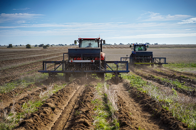 A red tractor and a blue tractor tow direct seeding machines side by side in a green field, with brown dirt trailing and a blue sky overhead.