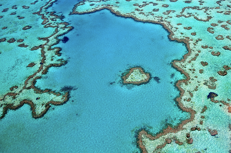 A light blue and turquoise aerial shot of coral from the Great Barrier Reef.
