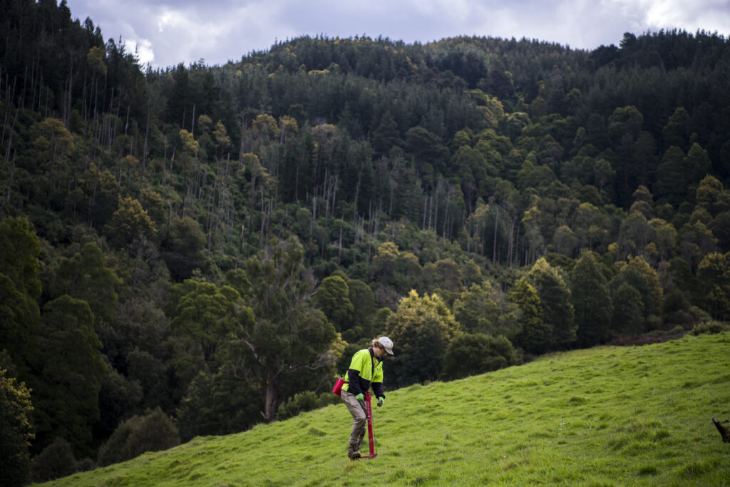 Planting commences in the Strzelecki Ranges, Victoria in 2022 as part of the Nestlé Reforestation Project in Australia. Credit Annette Ruzicka.