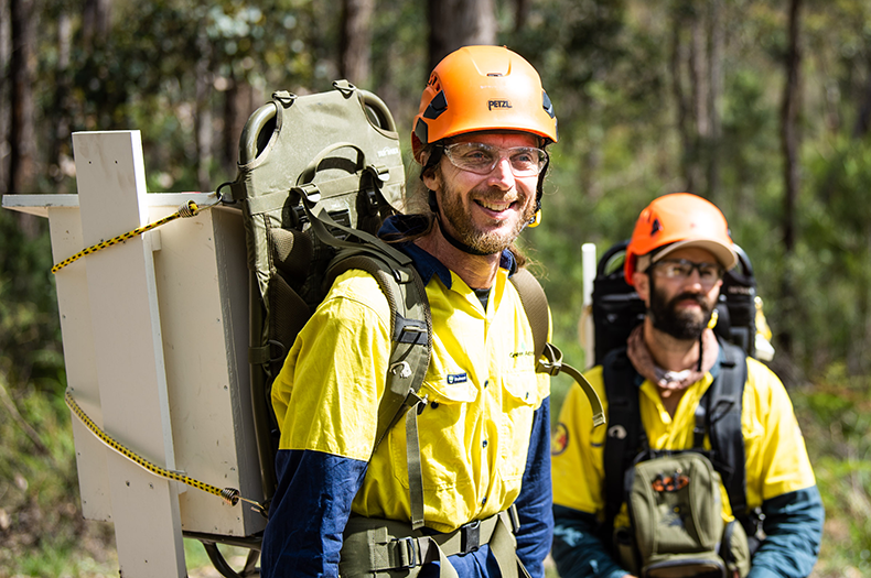 Drew installing Greater Glider nest boxes