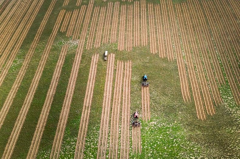 Aerial view of direct seeding lines in a paddock with two tractors in action