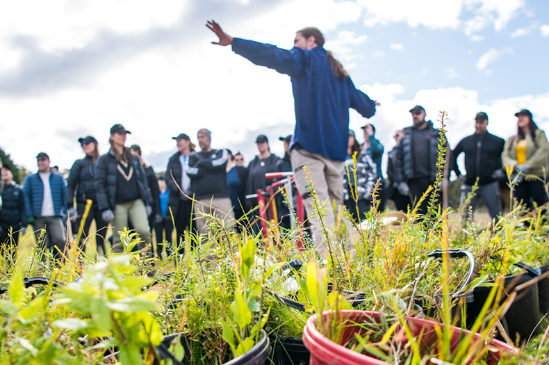 Out in nature, in the foreground are native tree seedlings ready for planting, while in the background a group of people are getting ready to plant