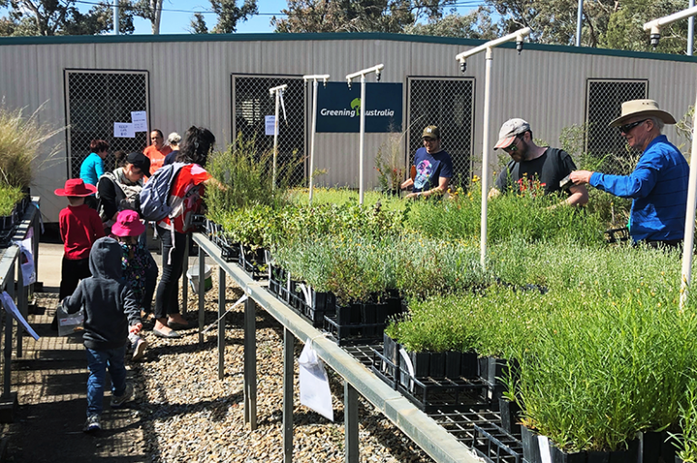 Autumn Plant Sale Greening Australia Greening Australia