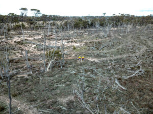 An aerial image of lcleared land and fallen trees