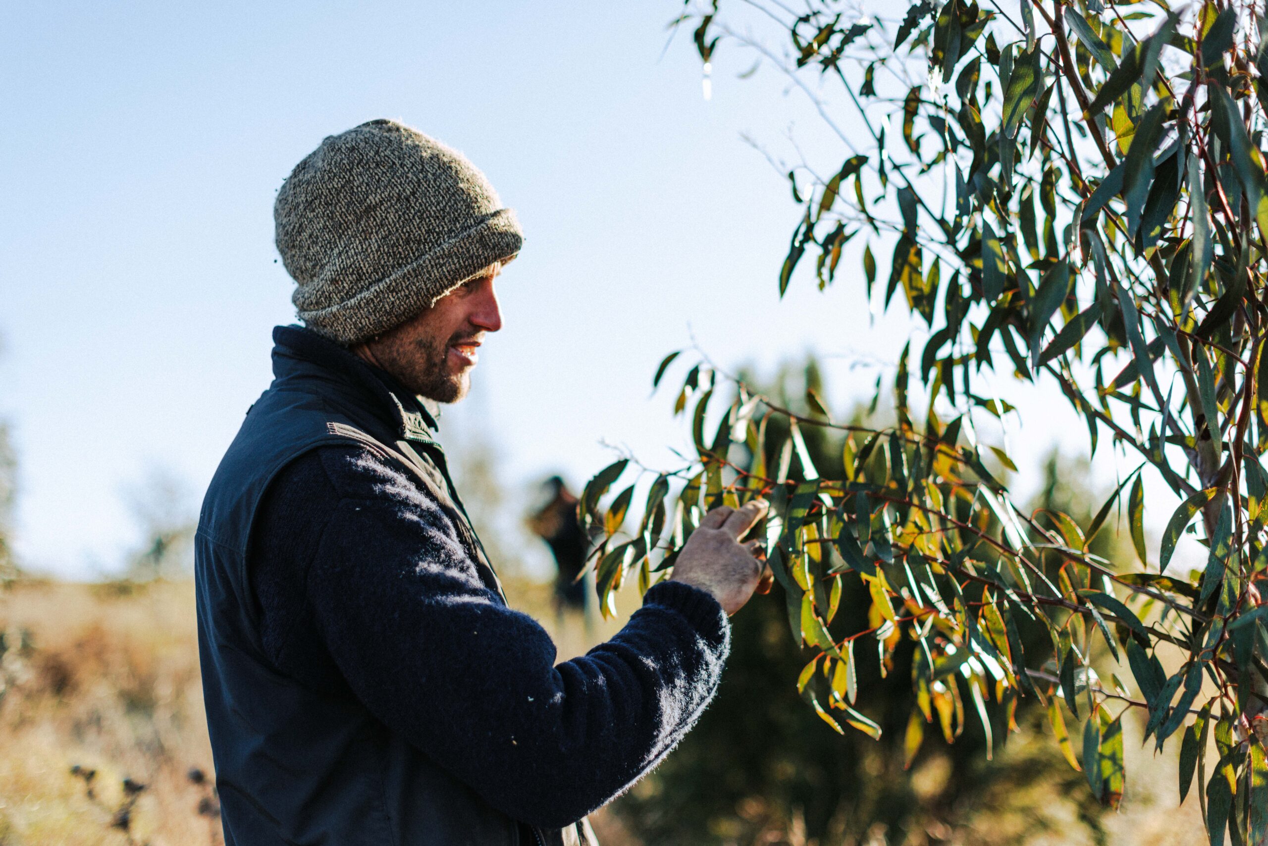 A landholder inspecting growth on a native tree