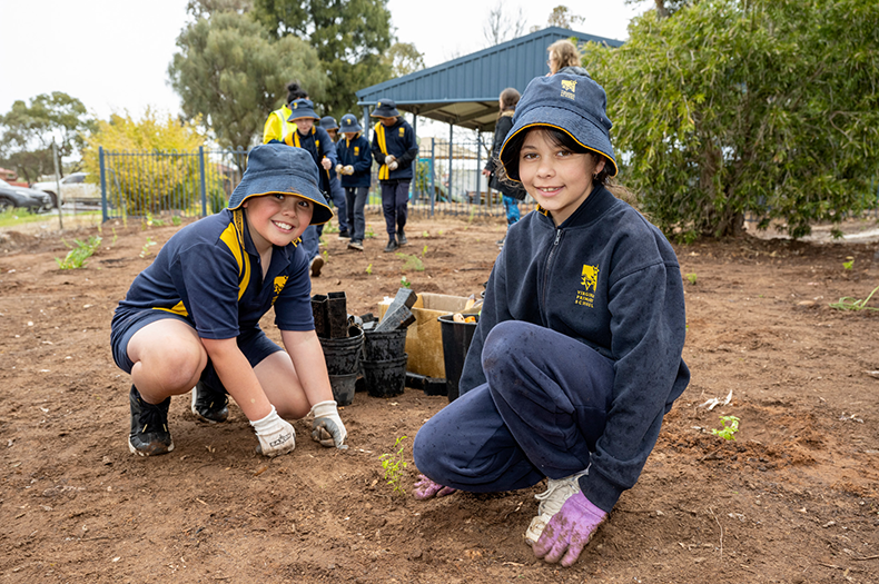 Why plant in schools? - Greening Australia - Greening Australia
