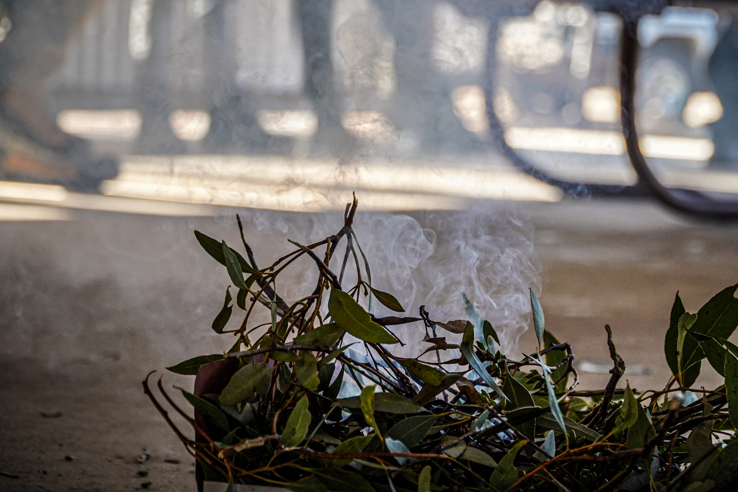 Smoking leaves during a Welcome to Country. 