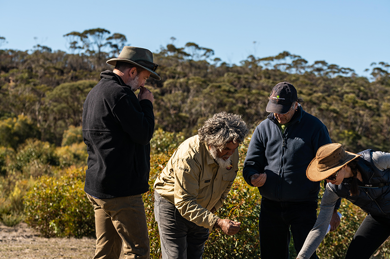 A group of people, one of whom is Eugene Eades (custodian of Nowanup), bend to examine a native plant outdoors. Restored bushland is visible in the background.