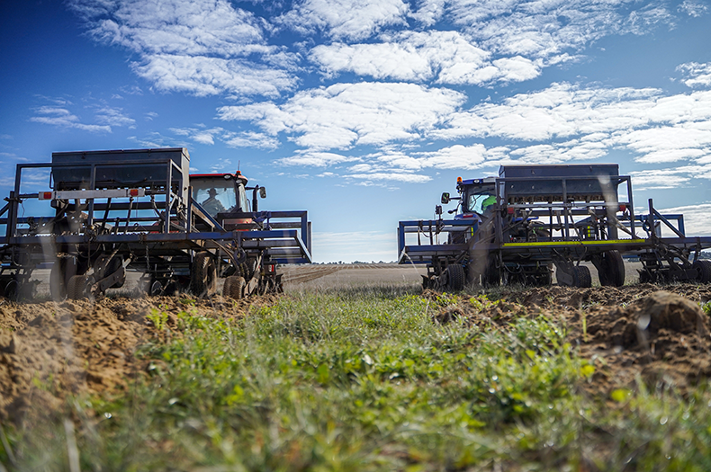 Two large direct seeding machines towed by tractors are pictured operating in an open field under blue skies.