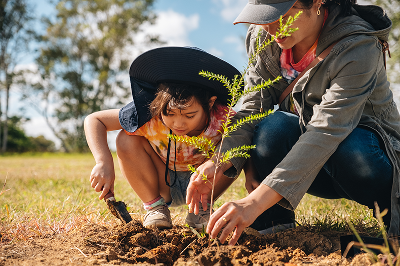 A young boy digs at the soil while his mother holds a native seedling they are planting.