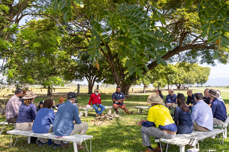 A yarning circle of people sitting on benches under a shady tree.