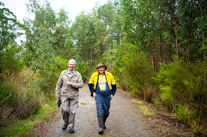 Two men in conversation walk along a path surrounded by young, green vegetation.