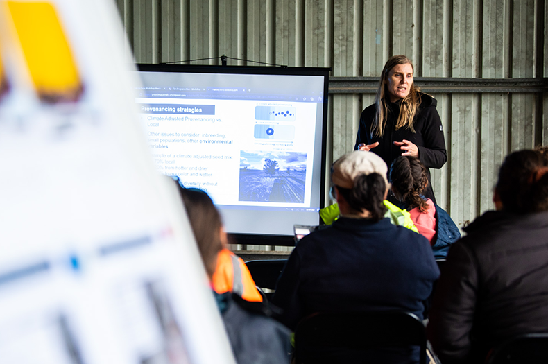 Looking over the heads of a listening audience, a presenter is shown standing beside a screen, talking to a slide that has the heading 'Provenancing Strategies'.