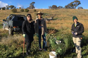Standing in a grassy paddock are two landholders and a Greening Australia staff member, smiling at the camera. There are seedlings ready to be planted sitting on the ground by their feet.