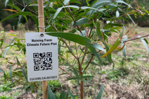 A stake beside a seedling holds up a tag with a QR code.