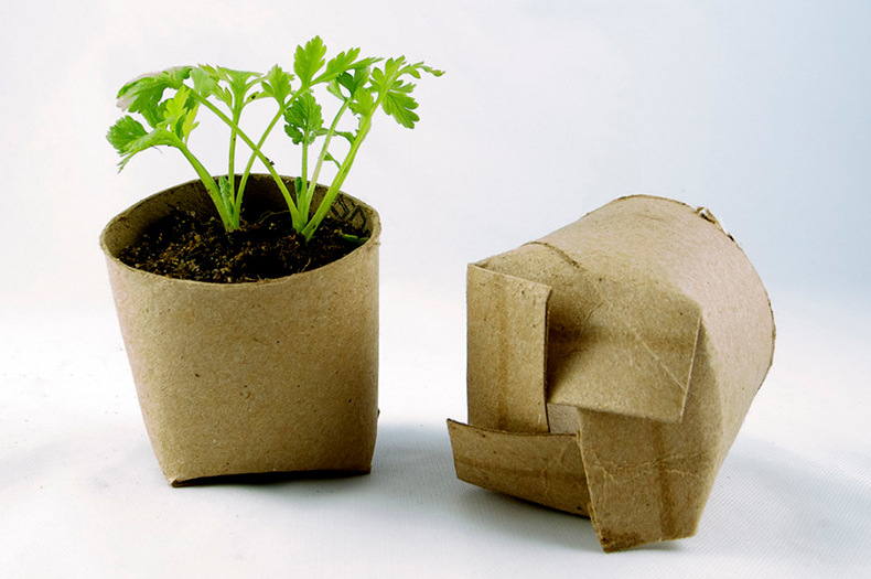 On the left is shown a seedling growing in a DIY pot made from a toilet roll. On the right is an empty DIY pot lying on its side, showing how the bottom has been folded in.