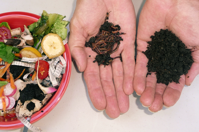 A bowl of food scraps can be seen on the left, and then two hands, one holding worms, and the other vermicompost.