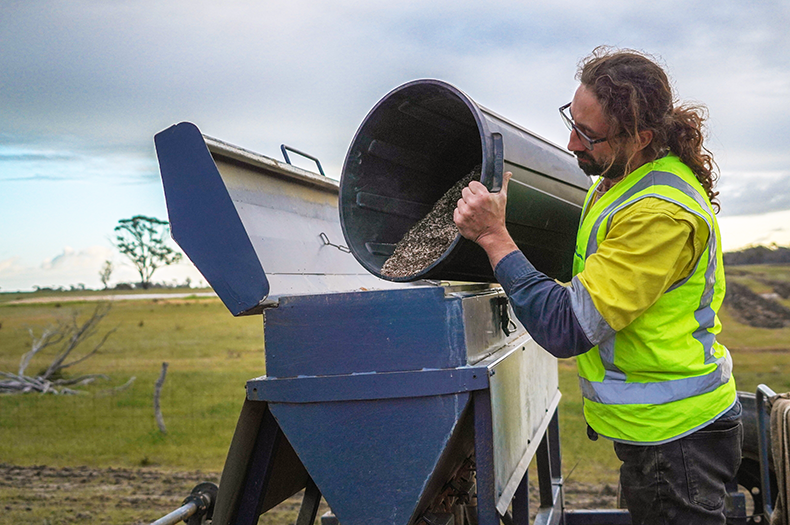 A man stands at the back of a tractor, pouring seed from a large bin into a seeding machine.