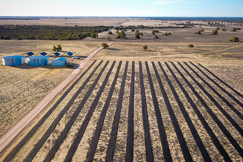 An aerial view of a newly established seed production area.