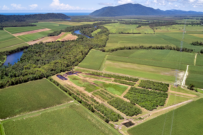 An aerial view of an installed wetland among canefields. It clearly drains into a river, which vanishes into the sea visible on the horizon.