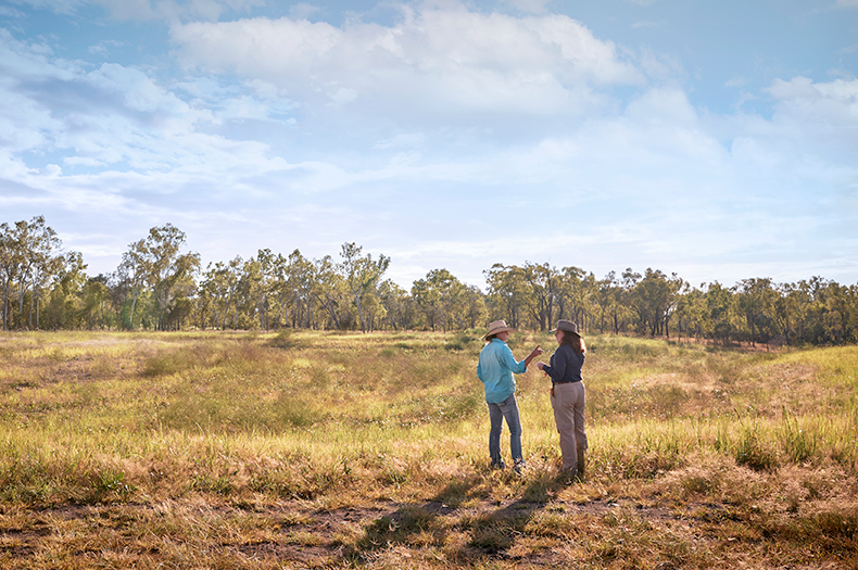 A grazier and a Greening Australia team member stand talking to each other on the edge of a remediated gully where vegetation cover has been re-established.