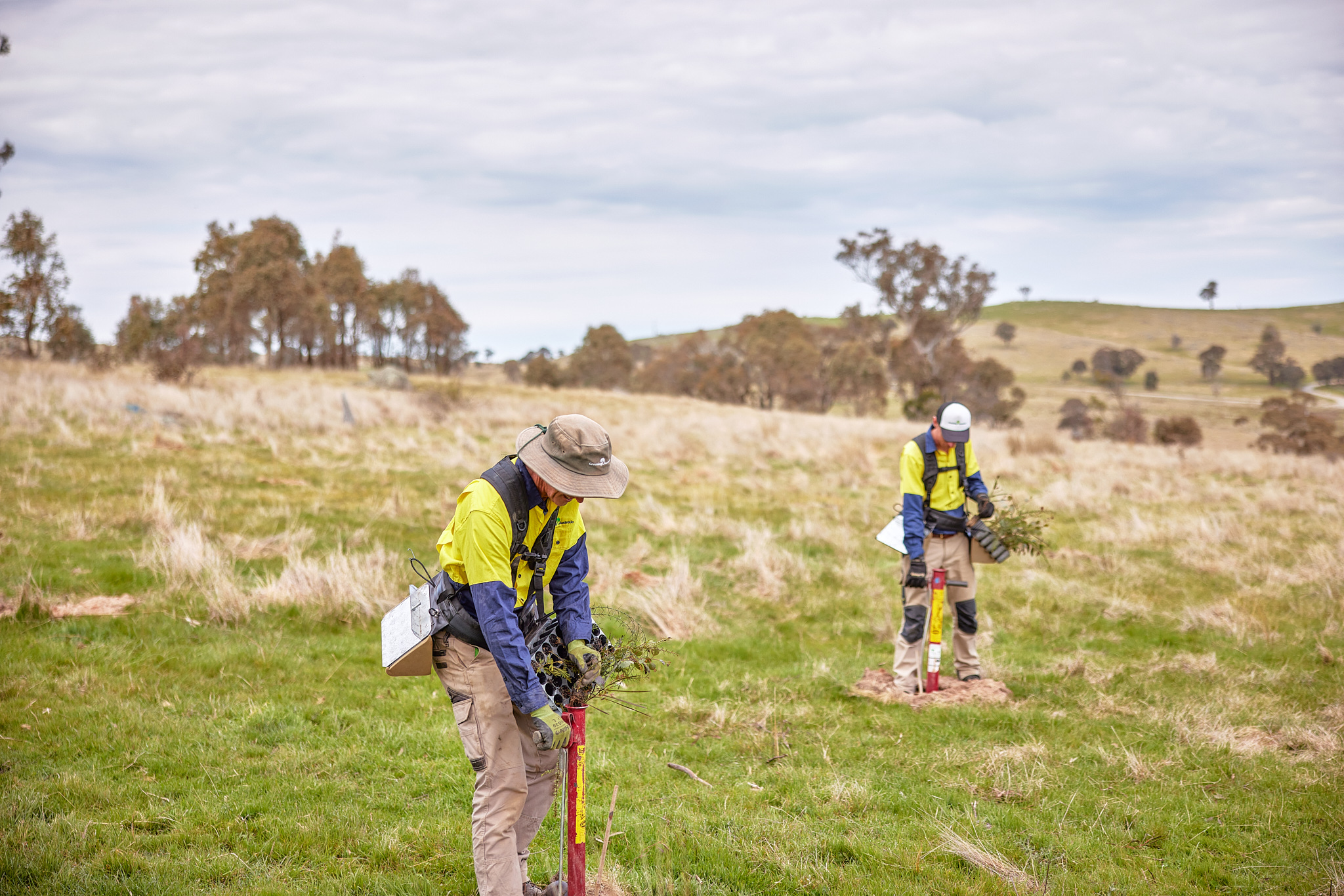 Two people plant trees in a cleared landscape