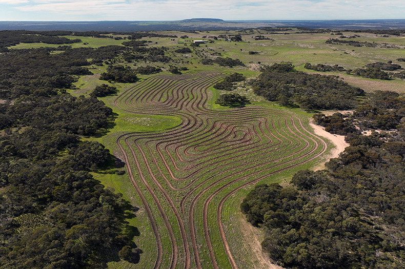 An aerial image of direct seeding lines.