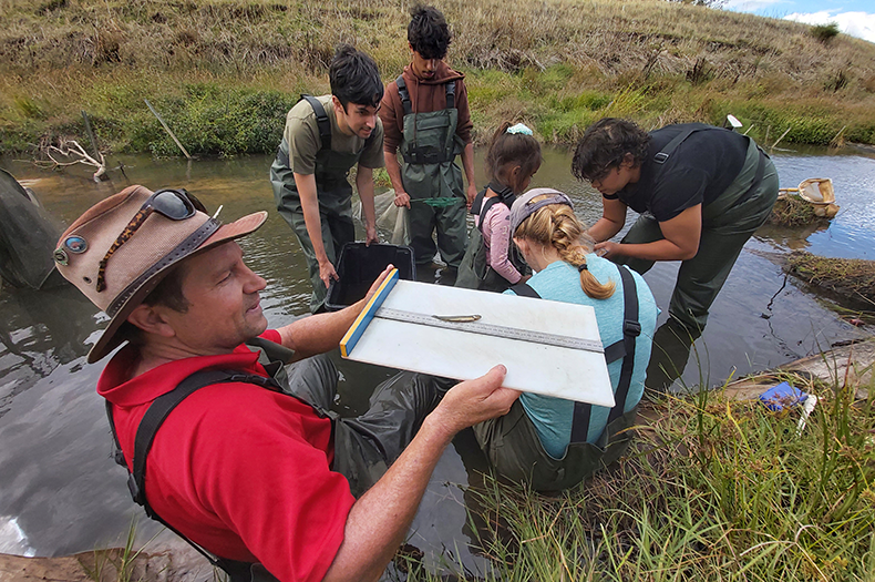 A group wearing waders is visible in the background, standing in knee high water in the Harvey River. A Murdoch University researcher is holding a board with a ruler centred on it up to the camera, and a small fish is lying on the ruler.