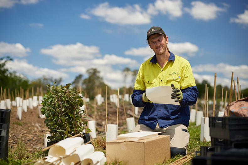 Under a blue sky, a smiling man in PPE kneels as he prepares tree guards for freshly planted seedlings. In the background, rows of tree guards disappear into the distance.
