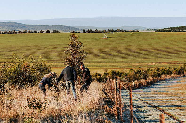 Three people stand outdoors in an environmental restoration planting, that is clearly creating a bushland corridor across an agricultural landscape with open fields in the distance.
