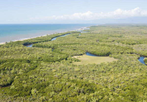Mangroves capturing Blue Carbon on the Australian Coast