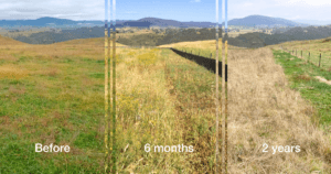 A series of images show the Scrape and Sow site from before restoration, at the six month mark, and at the 2 year mark.