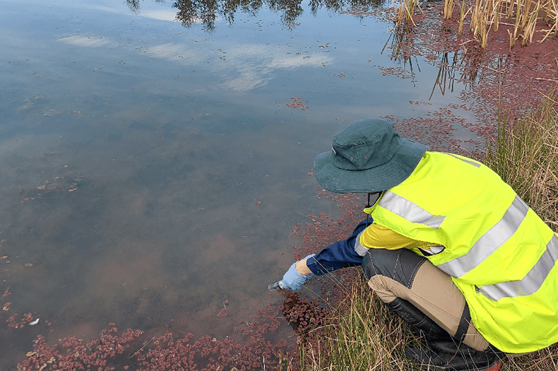 A person in a high vis vest squats by the edge of a pool, dipping a test tube into the water.