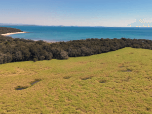 An aerial image of the coastal wetland needing restoration. In the background a bright blue sea, then a strip of trees, then in the foreground a monoculture mass of bright green olive hymenachne.